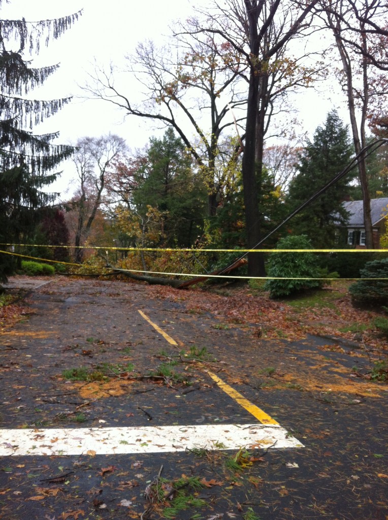 Hurricane Sandy Destruction 7